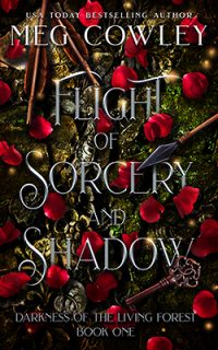 Flight of Sorcery and Shadow 2021 eBook Cover 250px